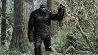 Bigfoot New Evidence [upl. by Mikes]