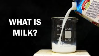 What is Milk made of [upl. by Bobette]