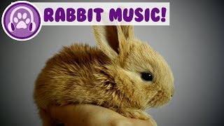 Music for Rabbits Calm and Soothe Your Rabbit and Stop Anxiety [upl. by Riddle726]