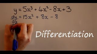 Differentiation [upl. by Telford]