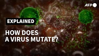 How does a virus mutate  AFP [upl. by Bel]