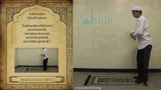 How to Pray  Asr Afternoon Pray  Sunnah [upl. by Artcele371]