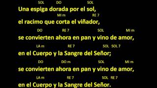 CANTOS PARA MISA  UNA ESPIGA DORADA POR EL SOL  COMUNION  ACORDES Y LETRA [upl. by Sofie]