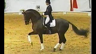 Donnerhall  Legendary oldenburg stallion Damon Hill Digby Donnperignon [upl. by Krystalle932]