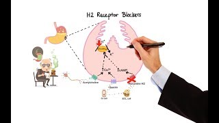 Pharmacology  ANTIHISTAMINES MADE EASY [upl. by Dulla]