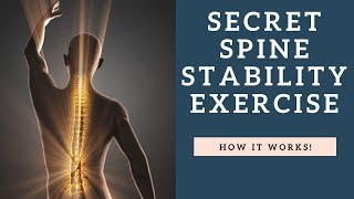 SECRET Spine Stability Exercise To Fix Back Pain  How To Workout The Multifidus Muscle [upl. by Schroeder318]