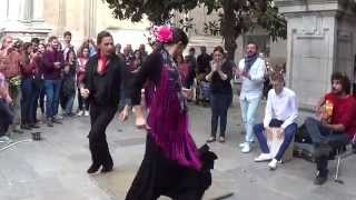 Flamenco dance 7 in Granada 2015 [upl. by Tullus]