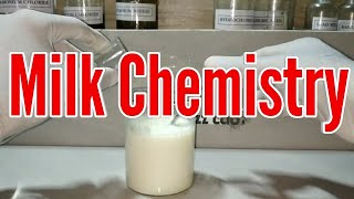 Extraction of Lactose and Casein from milk [upl. by Server98]