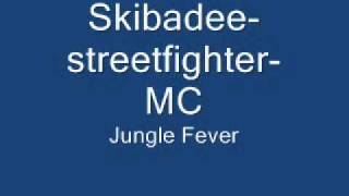 SkibadeestreetfighterMC [upl. by Llemej898]