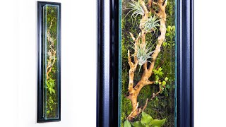 DIY Living Wall Moss Terrarium [upl. by Swift]