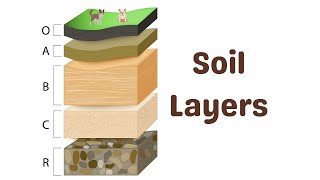 Soil Horizons Explained [upl. by Gonagle]