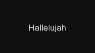 John Cale  Hallelujah Lyrics best version [upl. by Ewens]