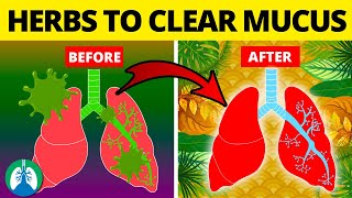 5 Herbs for Lung Health Clearing Mucus COPD and Killing Viruses [upl. by Parsifal]