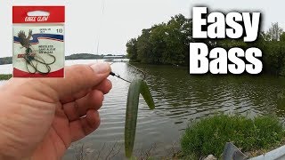 Easy Bass Fishing for ANYONE  Affordable Fishing for Beginners [upl. by Yralih228]