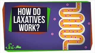 How Do Laxatives Work [upl. by Luzader]