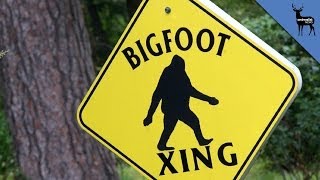 BIGFOOT IS REAL [upl. by Akiam906]