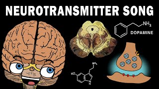 THE NEUROTRANSMITTER SONG [upl. by Judson]