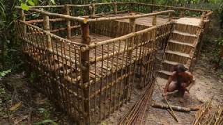 Primitive Technology Dom w DŻUNGLI Wspaniały Bushman build house [upl. by Saerdna]