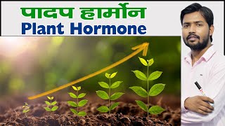 Plant Hormone  प्लांट हार्मोन  पादप हार्मोन क्या हैं  Types of Plant Hormones in Hindi [upl. by Dygall]