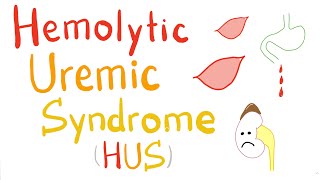 Hemolytic Uremic Syndrome HUS [upl. by Arhas845]