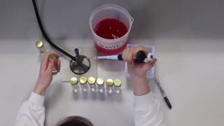 Serial Dilution [upl. by Quar]