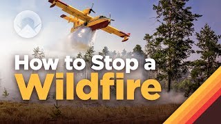 How Fighting Wildfires Works [upl. by Armillda]