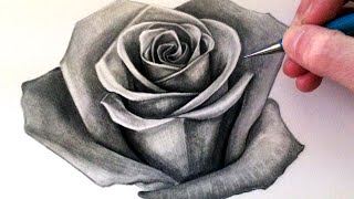 How to Draw a Rose [upl. by Sothena]