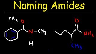 Naming Amides  IUPAC Nomenclature [upl. by Dogs]