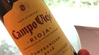 Campo Viejo Rioja Wine Review  Great Stuff [upl. by Ettenom]