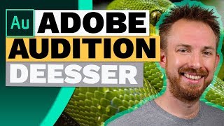 How to Use The DeEsser in Adobe Audition [upl. by Adiehsar]