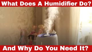 What Does a Humidifier Do Why Do You Need It [upl. by Flint]