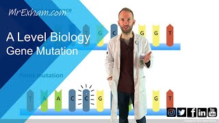 Gene mutation  A Level Biology [upl. by Margery]