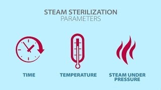 Understanding Steam Sterilization [upl. by Dorran968]