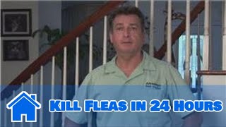 Home Pest Control  How to Kill Fleas in 24 Hours [upl. by Vowel]