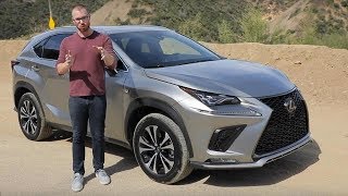 2020 Lexus NX 300 F Sport Test Drive Video Review [upl. by Inhsor]