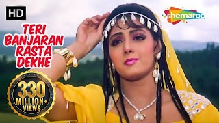 तेरी बंजारन रस्ता देखे  Teri Banjaran Rasta  Sridevi Hit Song HD  Alka Yagnik  Banjaran [upl. by Abebi]