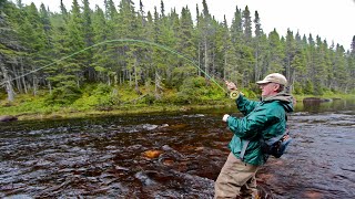 Steelhead amp Salmon on a Fly  How To [upl. by Ades903]