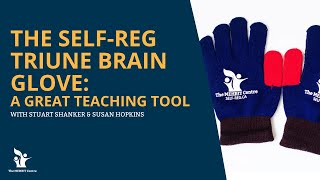 The SelfReg Triune Brain Glove A great teaching tool [upl. by Ynnelg]