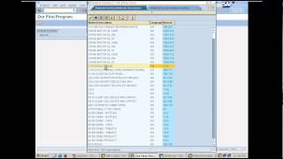 Creating our first report program in SAP  Day 4 [upl. by Yerffoj]