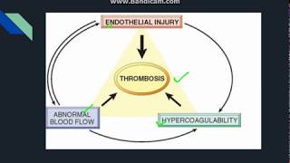 Thrombosis [upl. by Rehteh335]