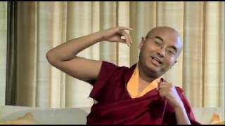 What Meditation Really Is  Mingyur Rinpoche [upl. by Hiroko]