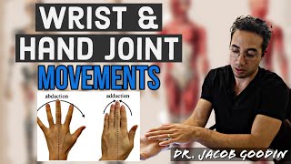 Wrist amp Hand Anatomy Joint Movements [upl. by Yedrahs949]