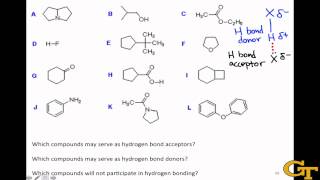 Identifying Hydrogen Bond Donors amp Acceptors [upl. by Laurene]