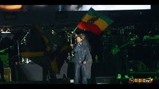 Damian Marley Live Performance [upl. by Esilram325]