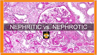 Nephritic vs Nephrotic Syndromes [upl. by Ayortal889]