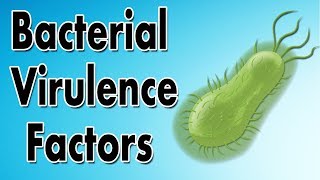 Bacterial Virulence Factors [upl. by Huei885]