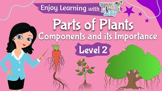 Parts of Plants amp Functions  Science  TutWay [upl. by Rusticus]