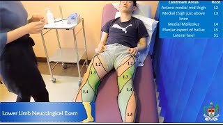 Mayo Medics Lower Limb Neurological Exam [upl. by Leidba]