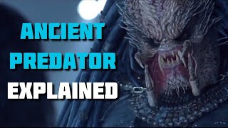 Ancient Predator  Yautja Explained AVP Lore [upl. by Otirecul]