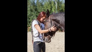 Wie man das Vertrauen eines Pferdes gewinnt Beispiel Shire Horse [upl. by Grondin]